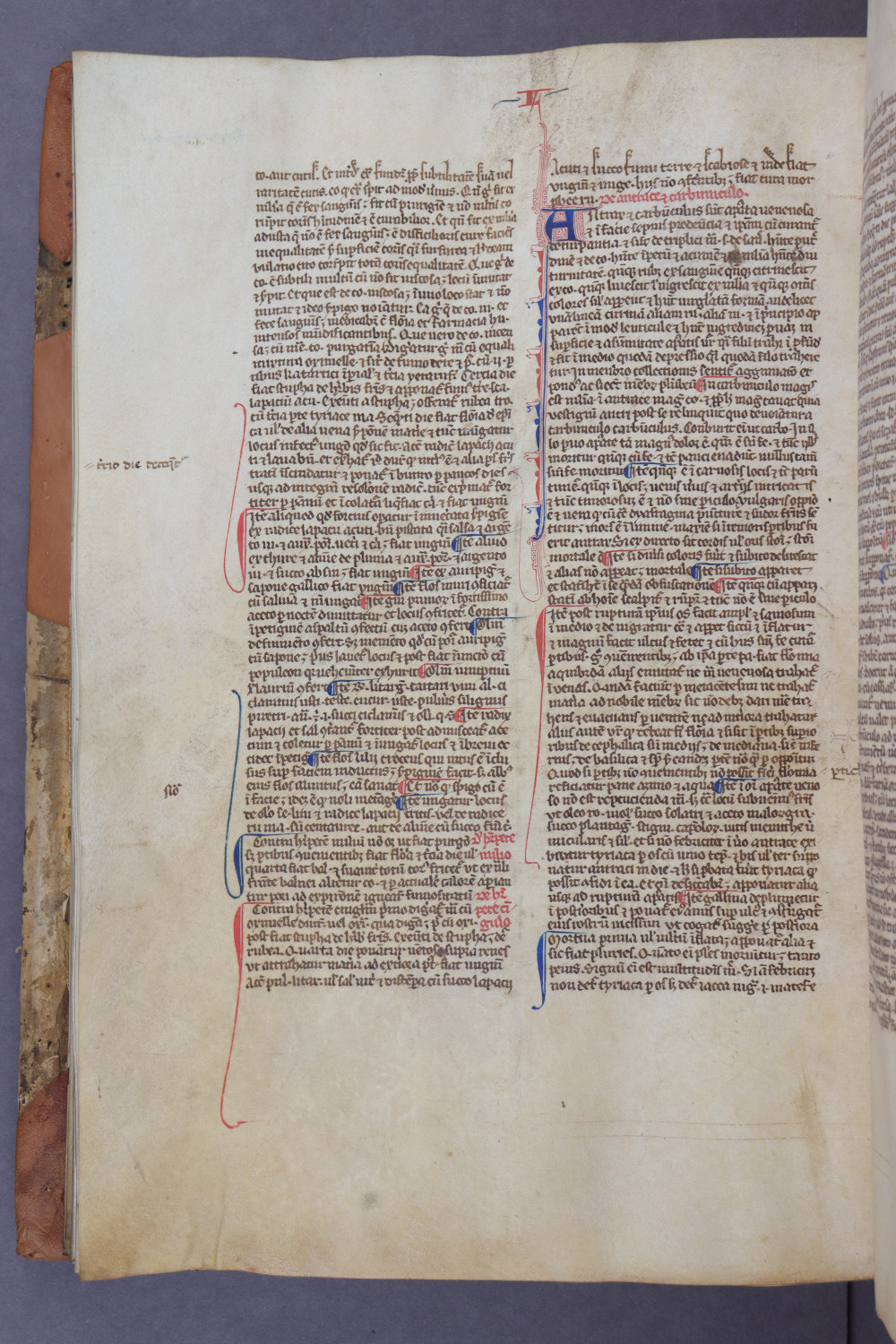 Folio 80 verso